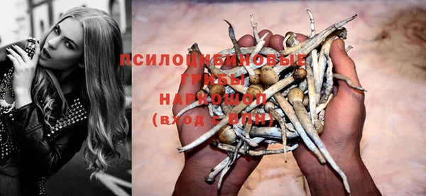 дурь Арсеньев