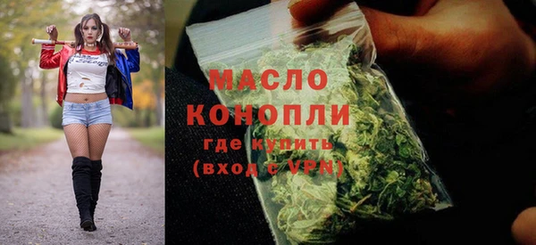 индика Баксан