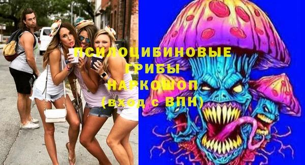 apvp Балахна