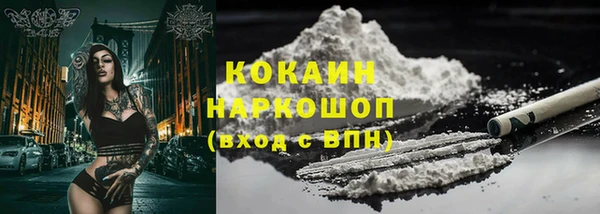 индика Баксан