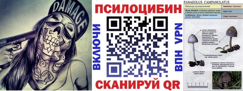 мега зеркало  Сарапул  Псилоцибиновые грибы мухоморы 